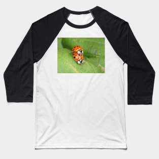 Harmonia axyridis - Asian ladybeetle - mating on a leaf Baseball T-Shirt